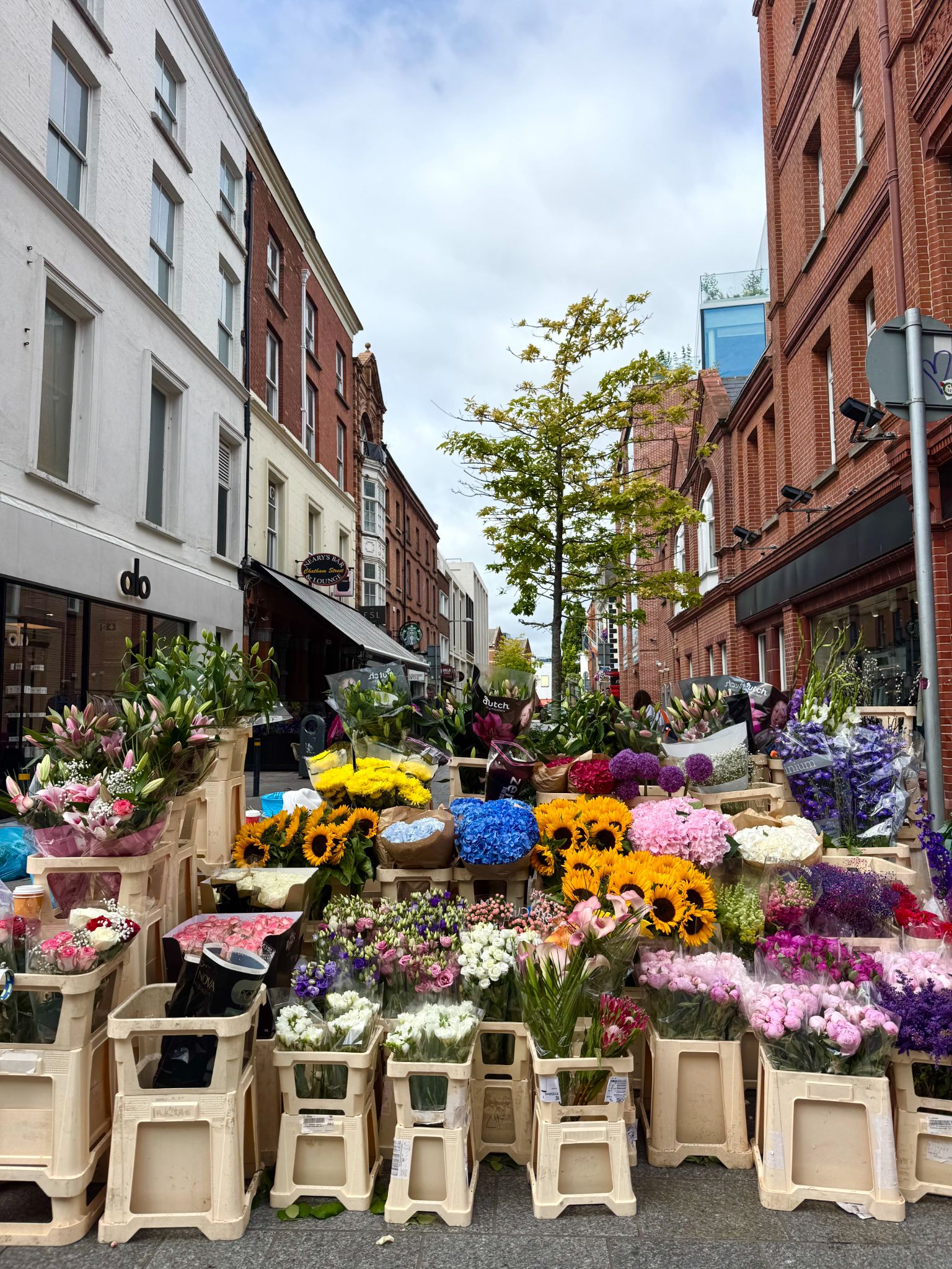 The famous flower sellers of Grafton Street in Dublin, Ireland