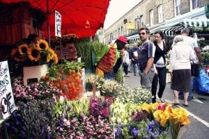 Local markets visits with Absolute Internship